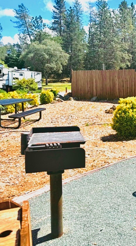Outdoor BBQ grill and picnic area at Auburn RV Resort