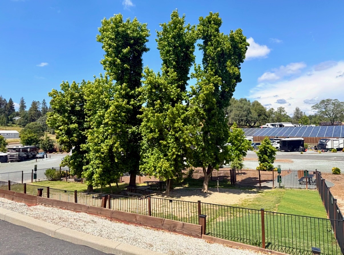 Fenced dog park with shade trees and seating at Auburn RV Resort